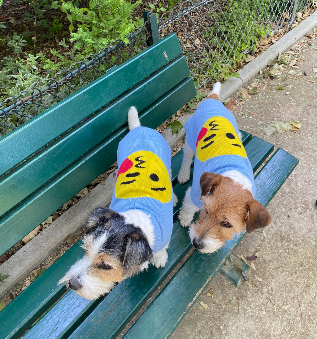 It Dogs ベアニット　ブルー系 Groomer Completely Dyes Dog Blue—Internet Not Prepared for the End